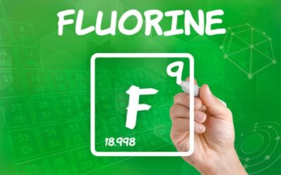 Where Does Our Body Get Fluoride From?