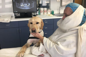 service-dog-good-samaritan-Dental-Implant-Institute